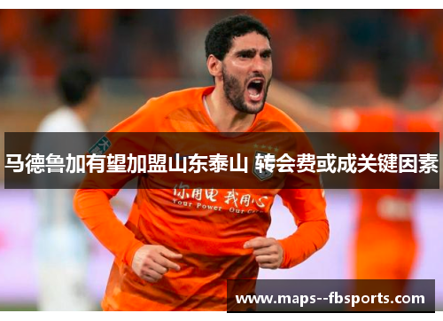 马德鲁加有望加盟山东泰山 转会费或成关键因素