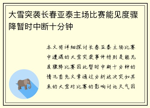 大雪突袭长春亚泰主场比赛能见度骤降暂时中断十分钟